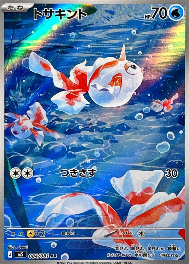 角金魚