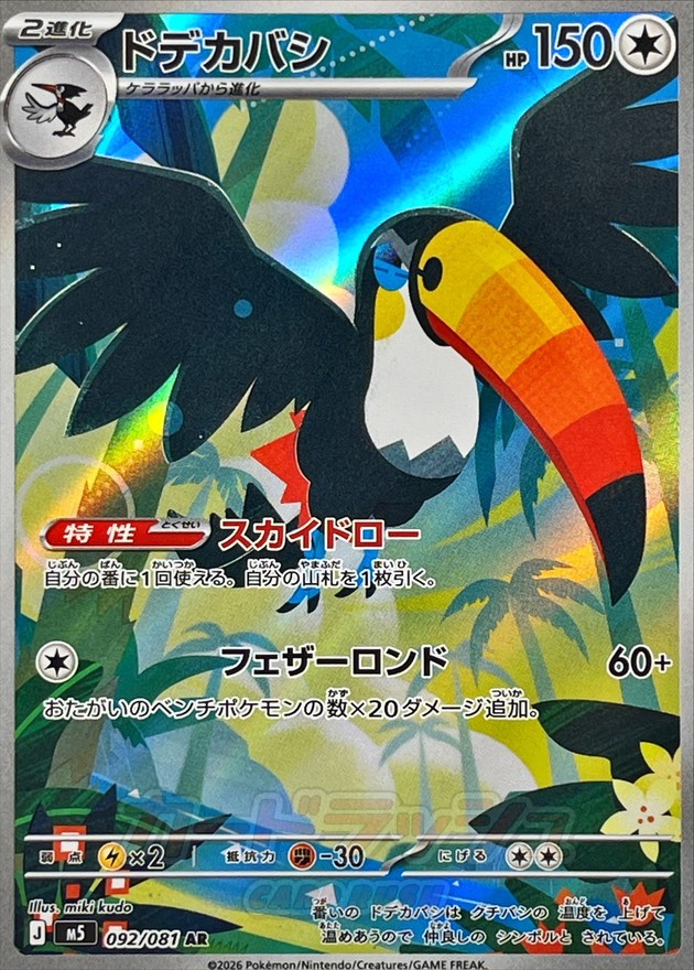 銃嘴大鳥