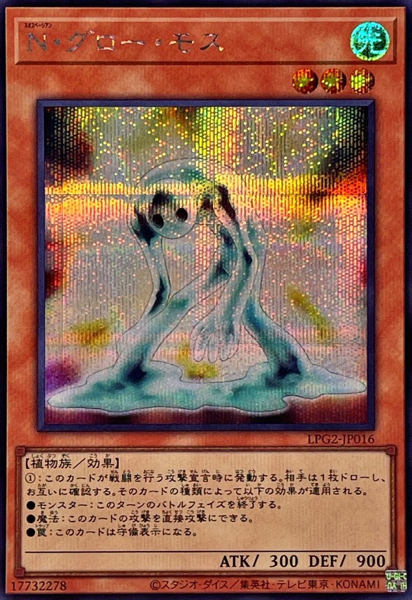 N 光輝苔癬