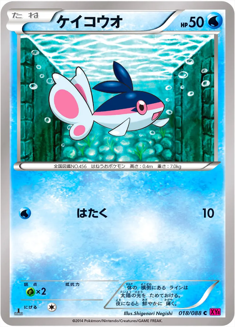 ケイコウオ
