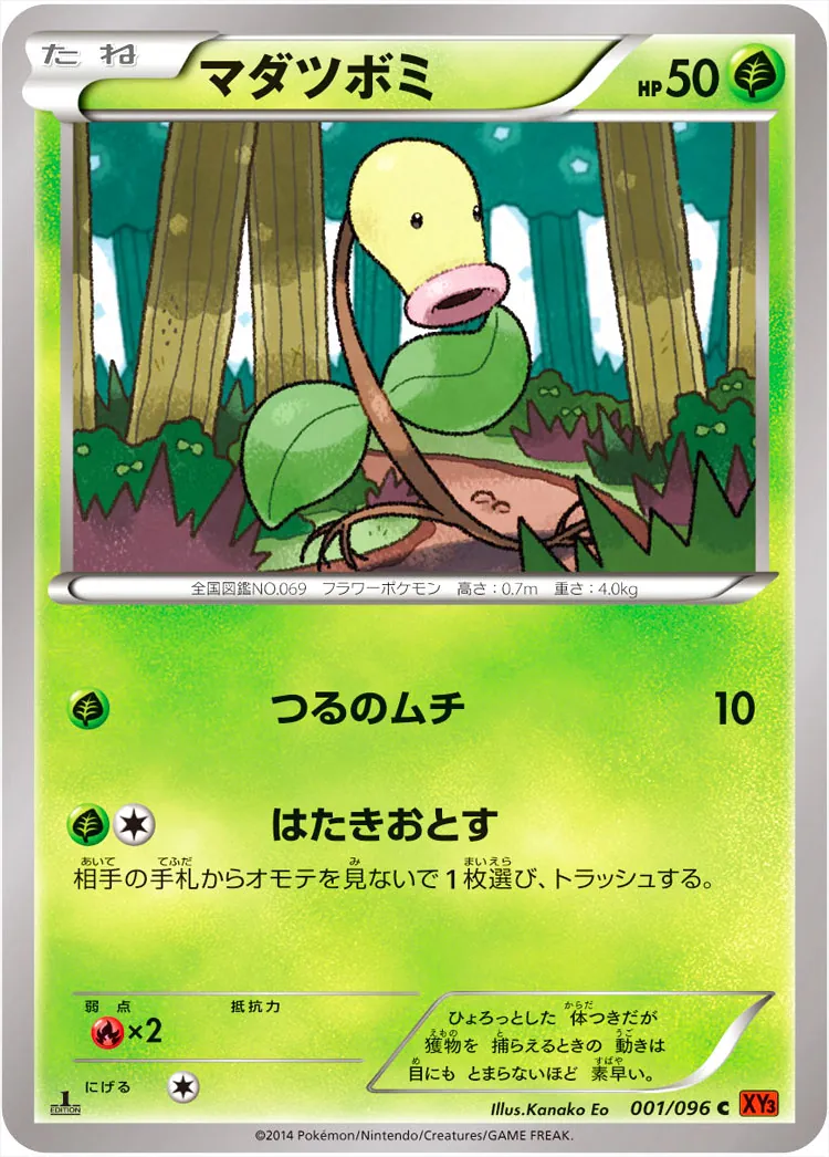マダツボミ