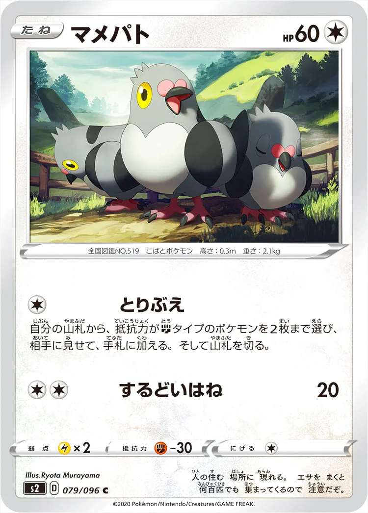 豆豆鴿