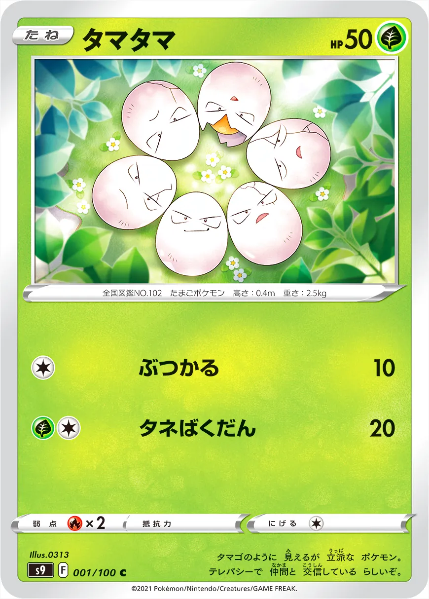蛋蛋