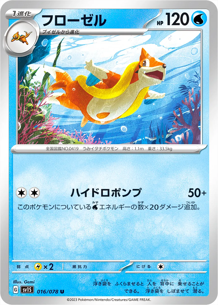浮潛鼬