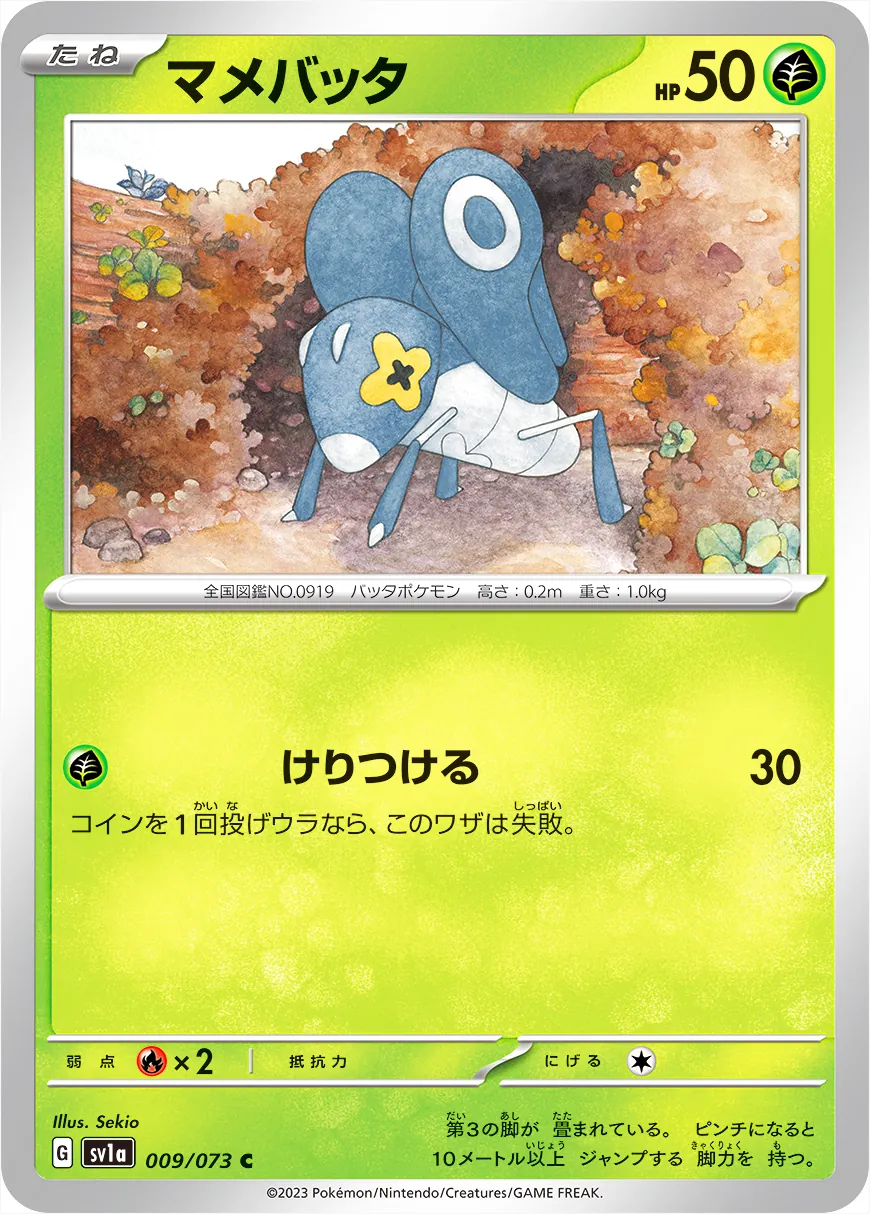 マメバッタ
