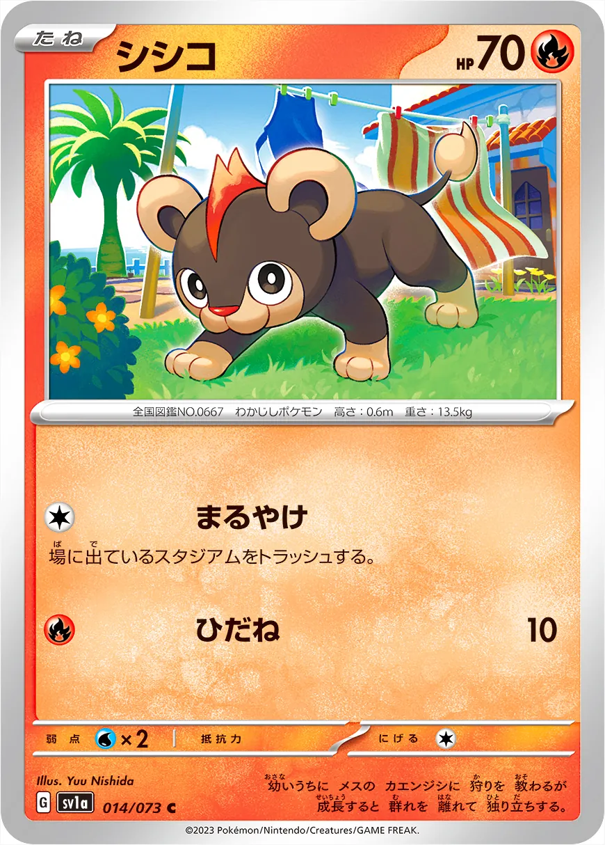 小獅獅
