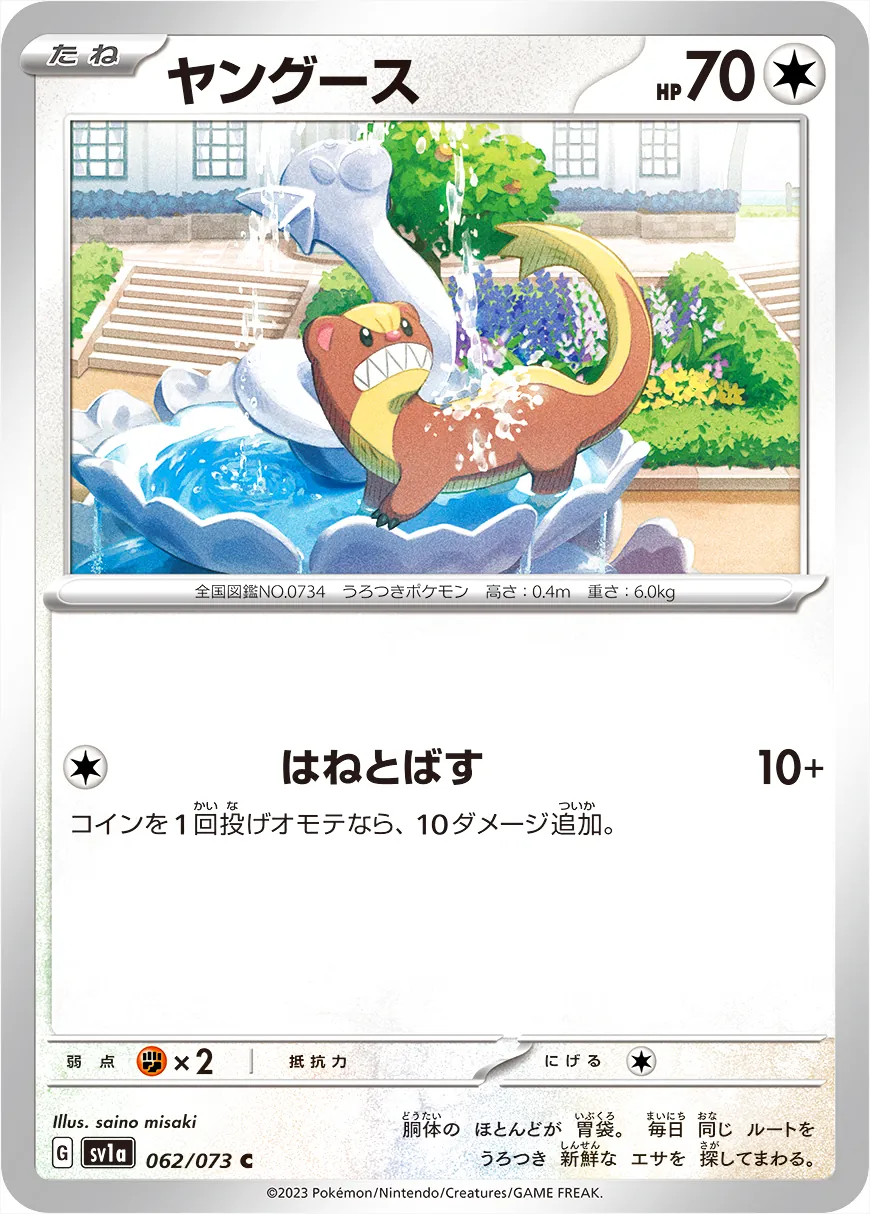 貓鼬少