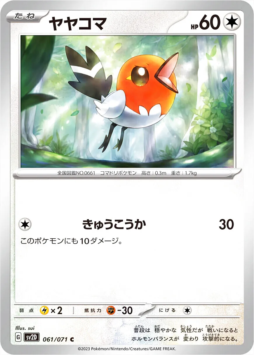 小箭雀