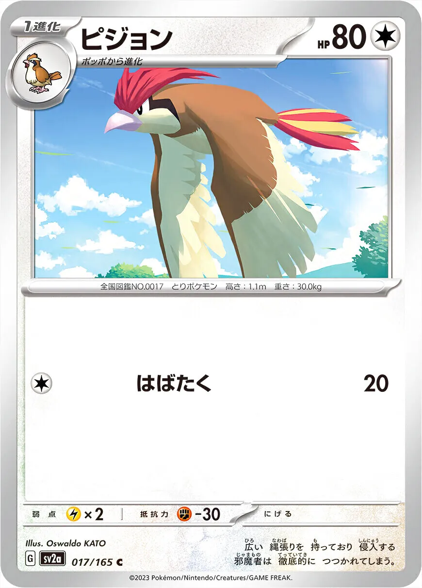 比比鳥