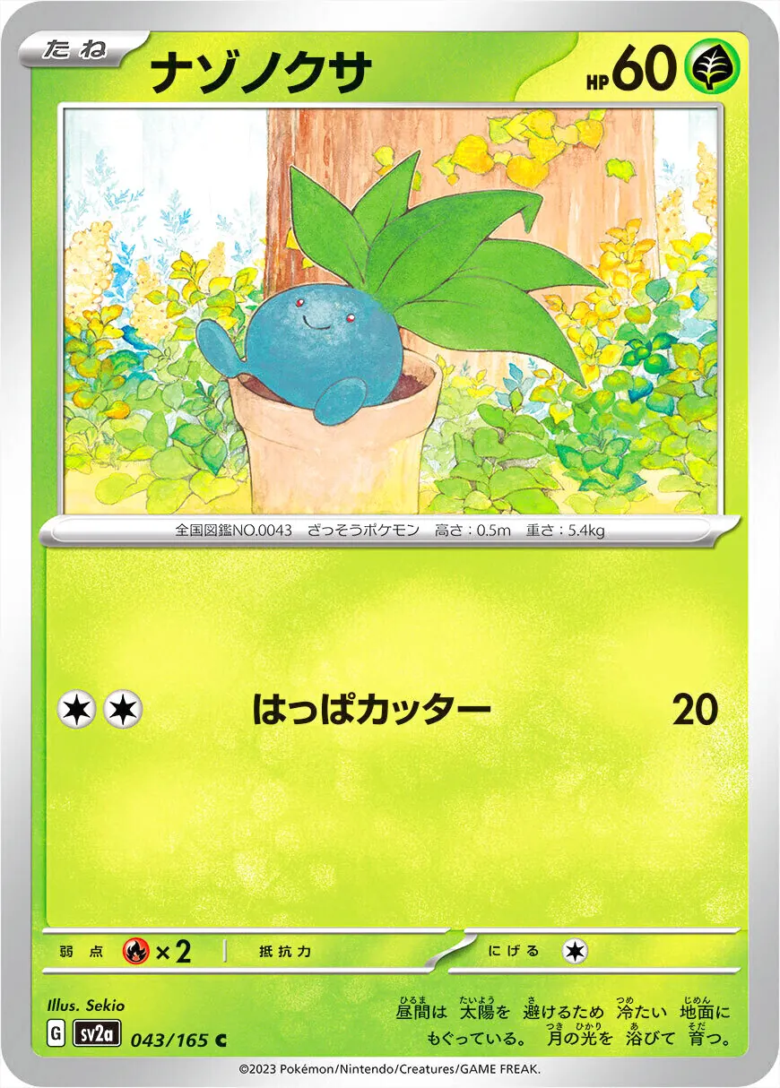 走路草