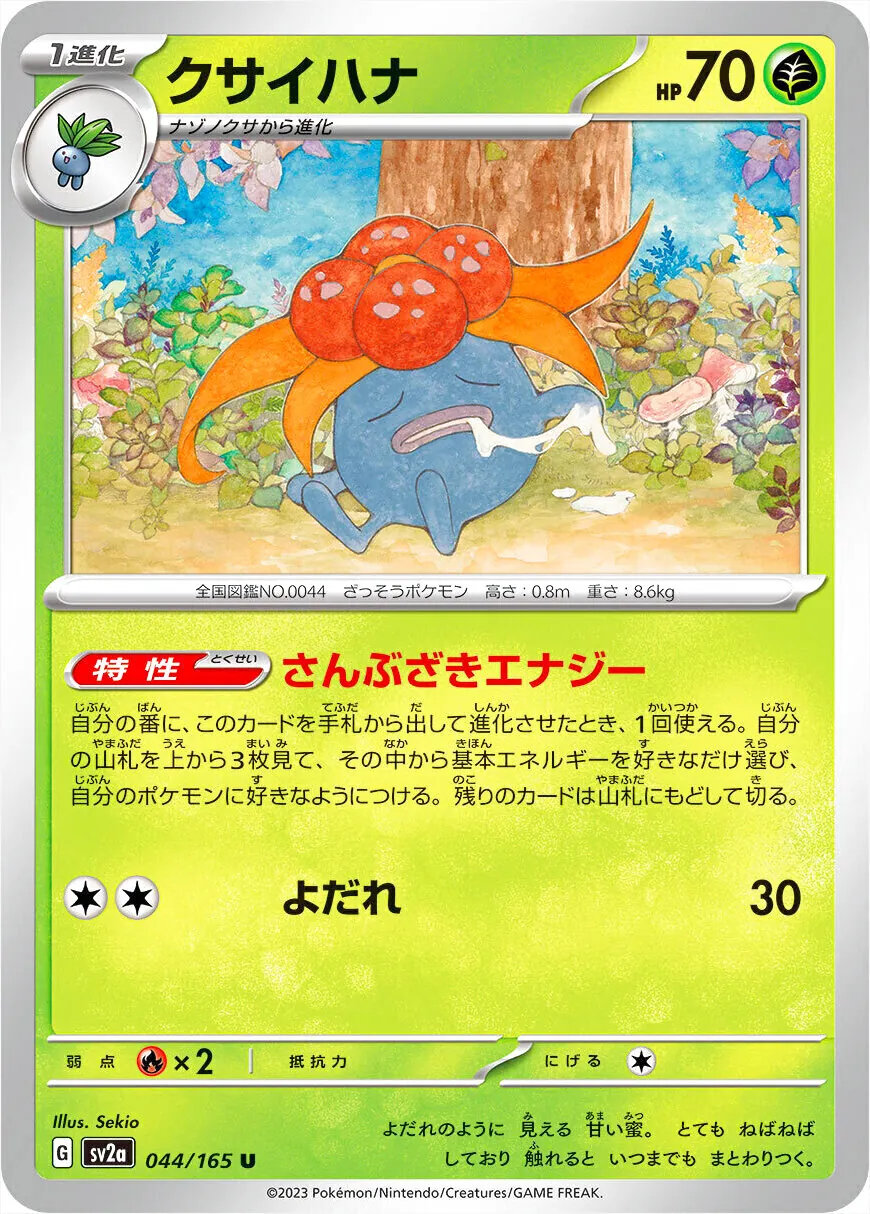 臭臭花