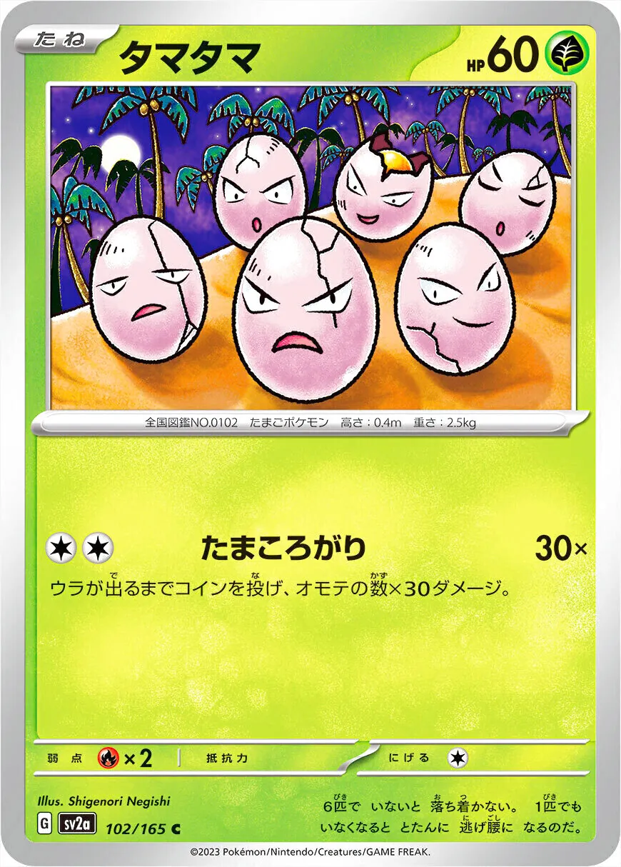蛋蛋