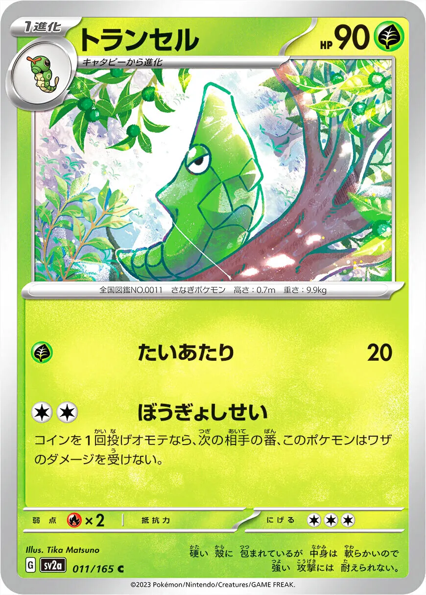 鐵甲蛹