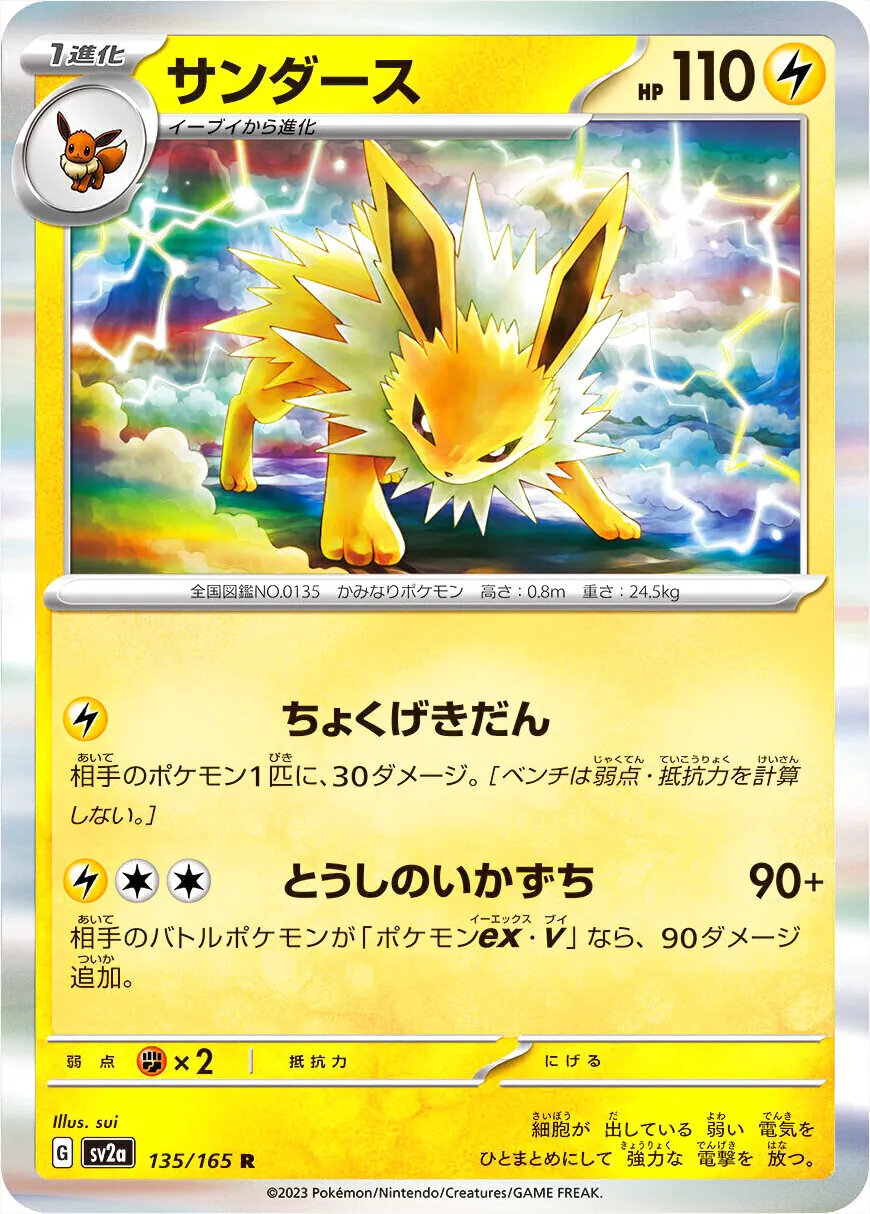 サンダース