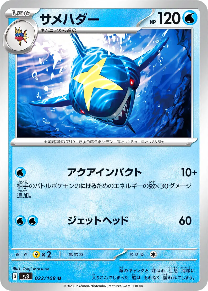 サメハダー