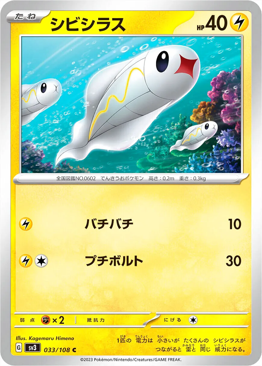 麻麻小魚