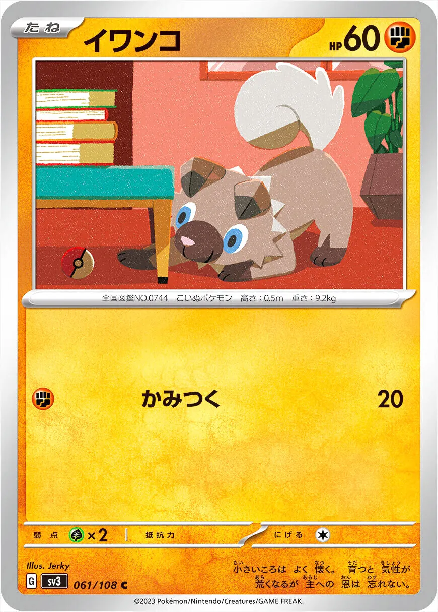 岩狗狗