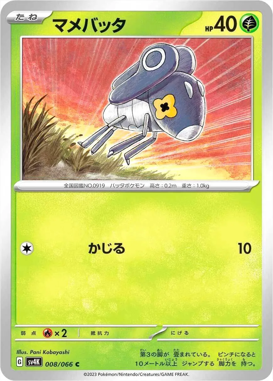 マメバッタ