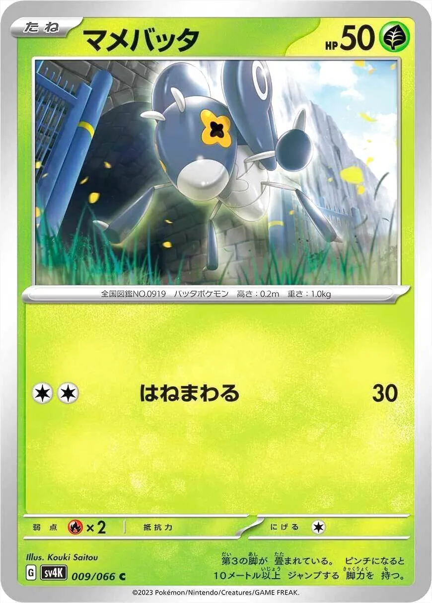 マメバッタ