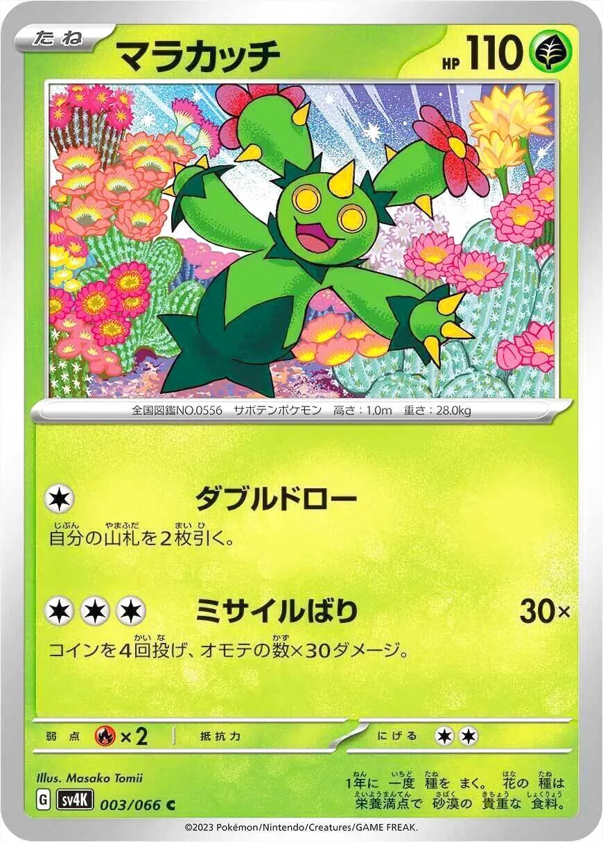 マラカッチ