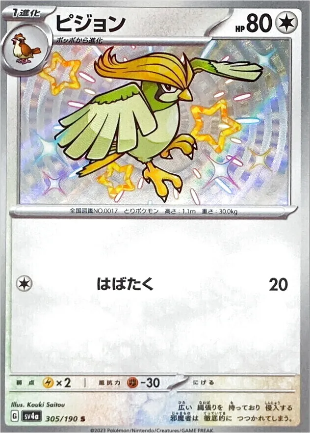 比比鳥