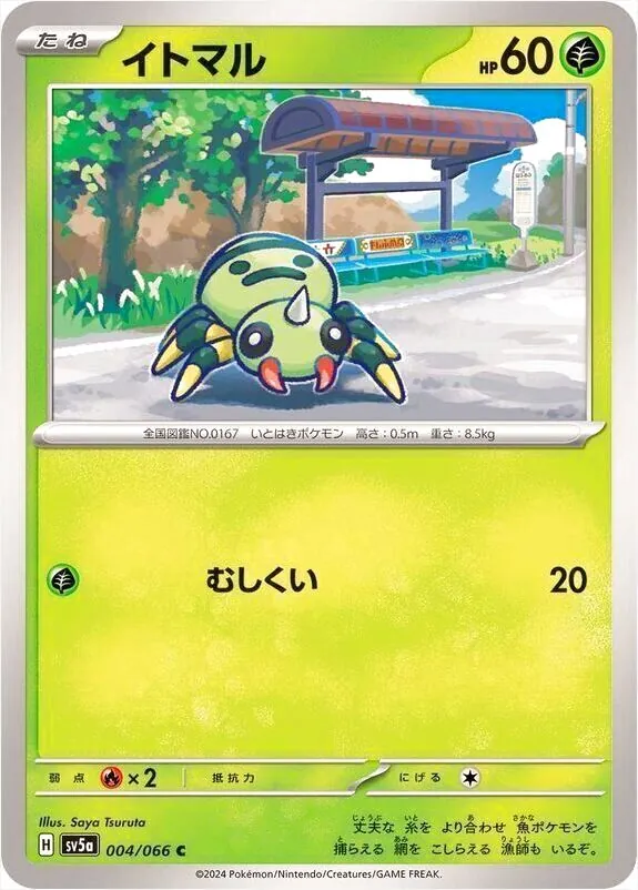 圓絲蛛