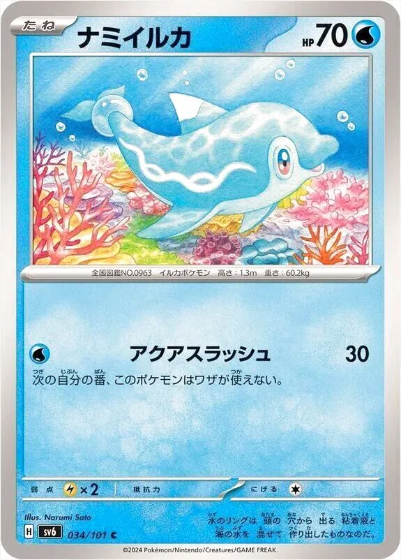 波普海豚