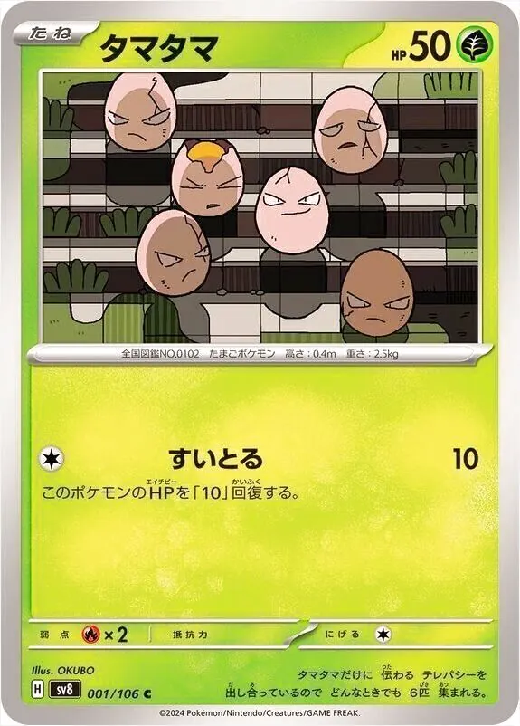 蛋蛋