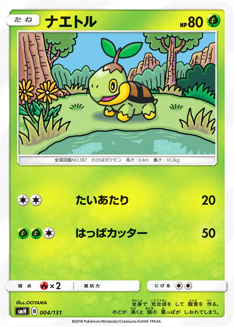 ナエトル