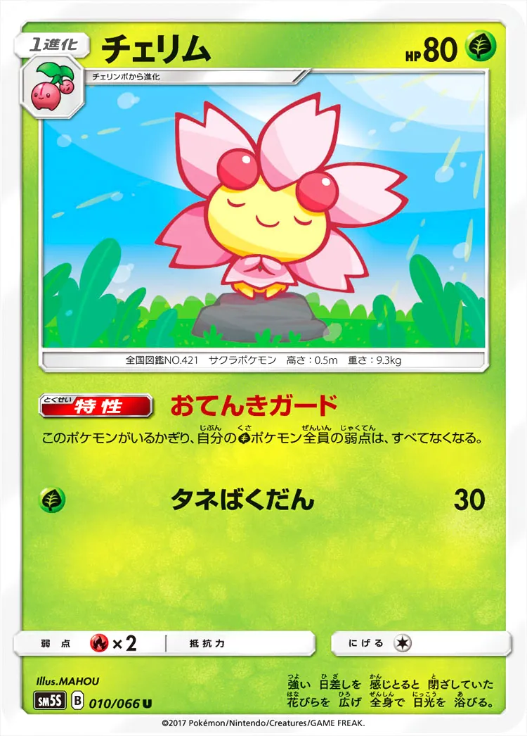 チェリム