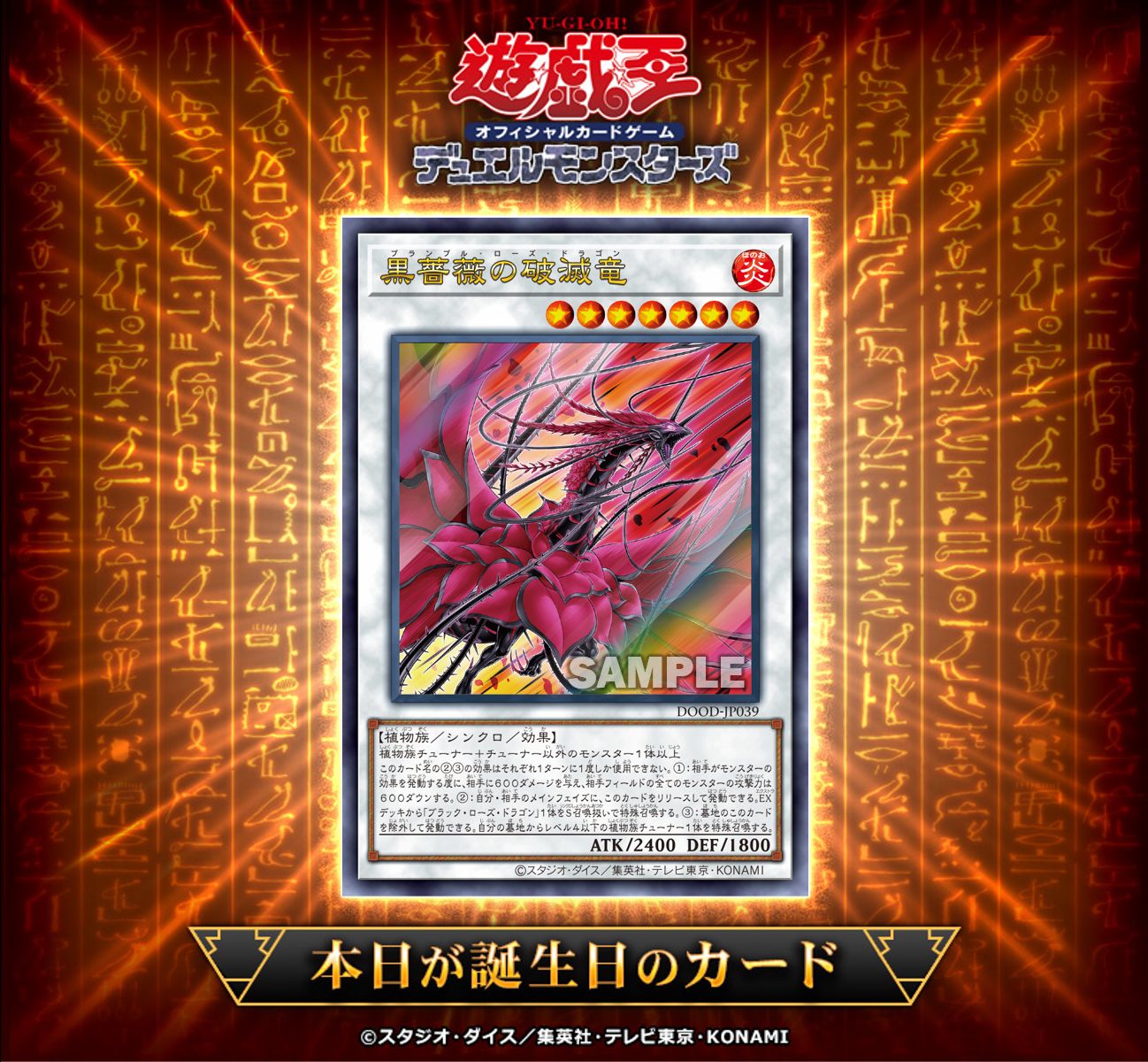 黑薔薇的破滅龍登場一週年