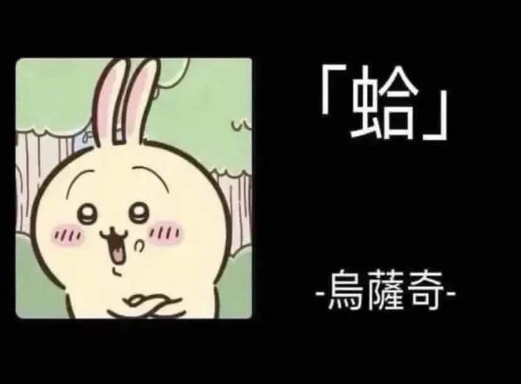 薛霆格的貓