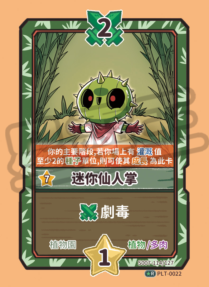 迷你仙人掌