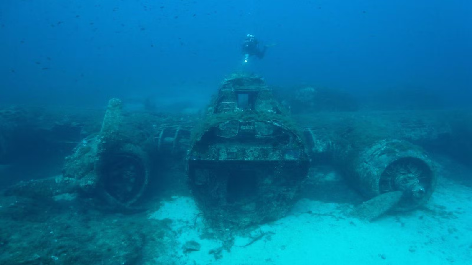 Blenheim Bomber, WWII plane wreck, Delimara, Malta