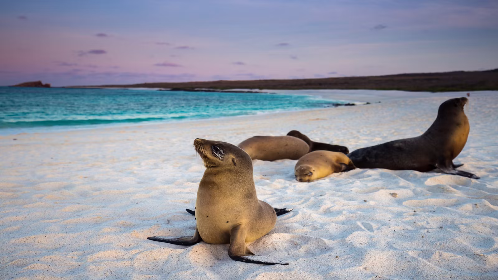 Galápagos Islands, Ecuador