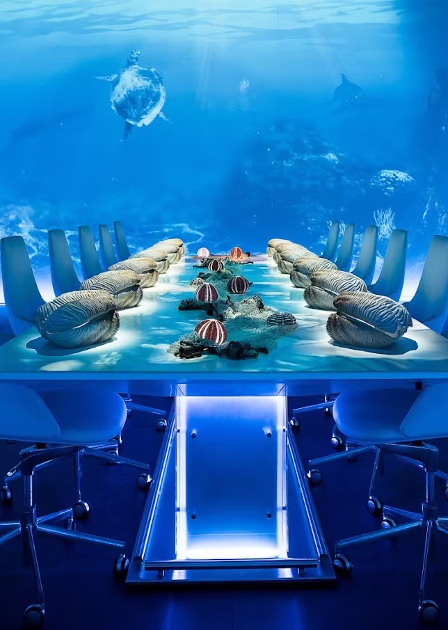 Sublimotion, Ibiza