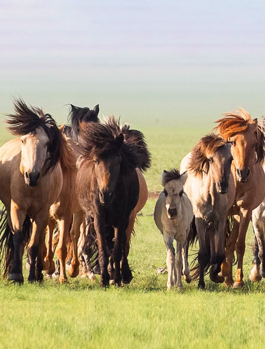 Hovsgol Province, Mongolia