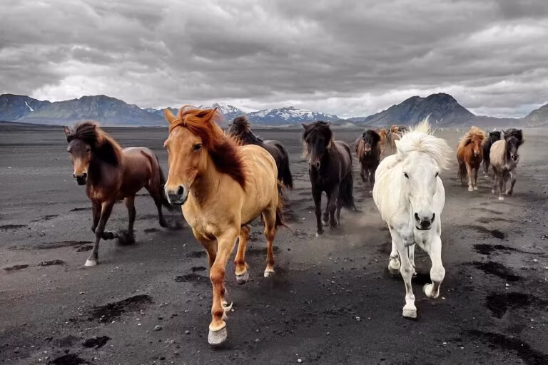 Golden Circle, Iceland