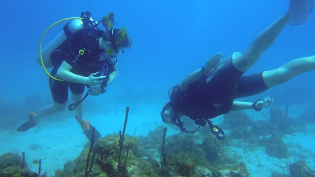 Marine Life