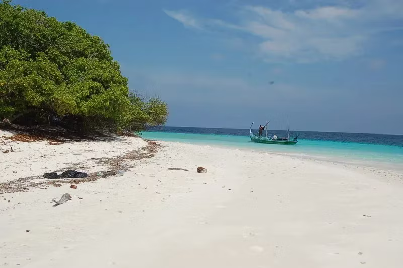 South & Southeast Asia ($2,865,000-$159,000,000)