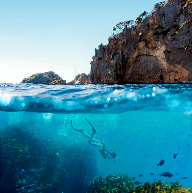 Poor Knights Islands, New Zealand