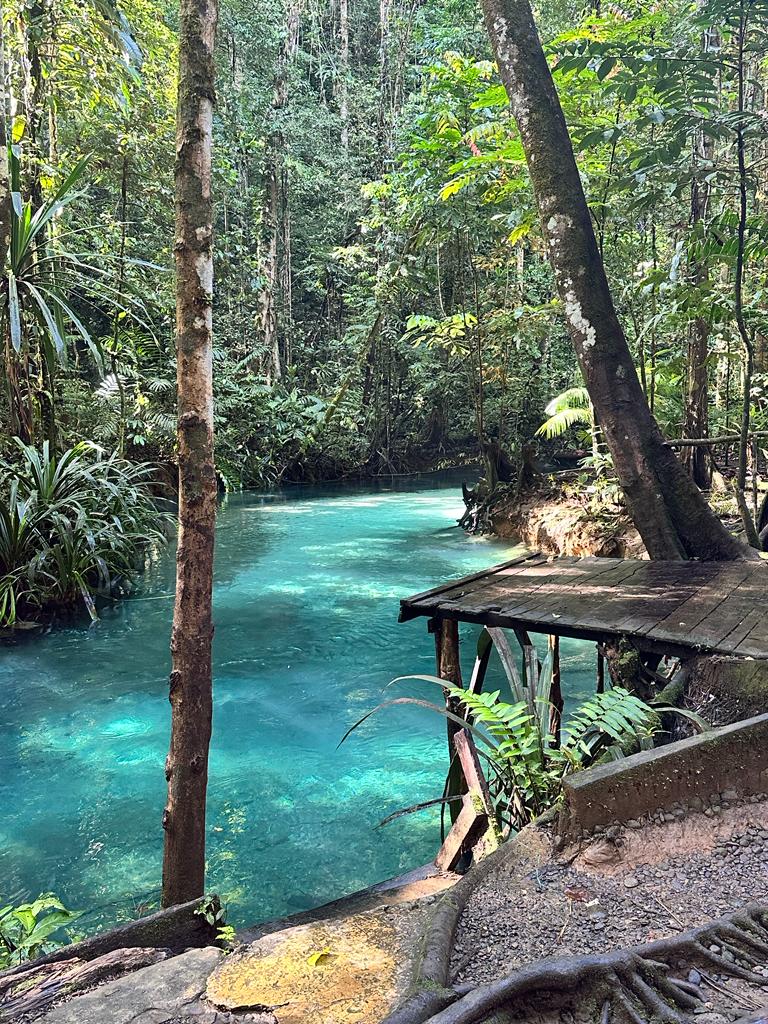 Untouched Adventure In Raja Ampat