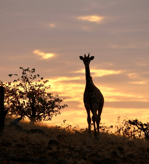 Botswana