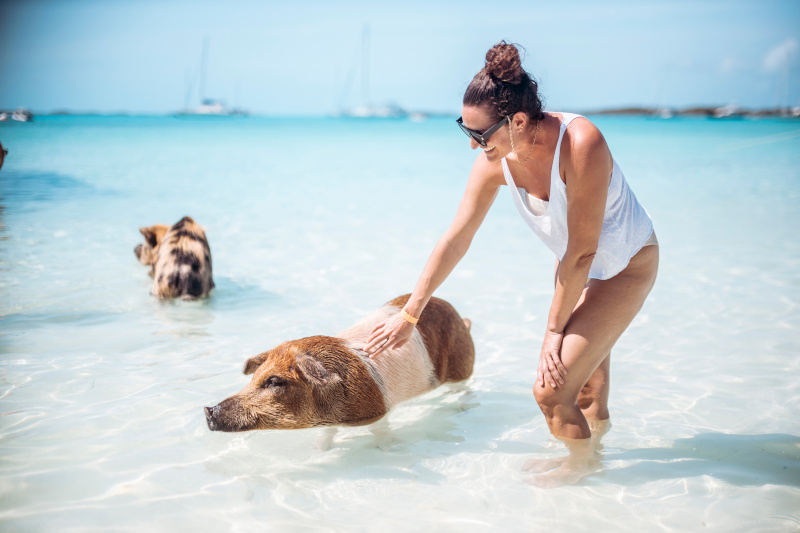 Nature Encounters Ashore