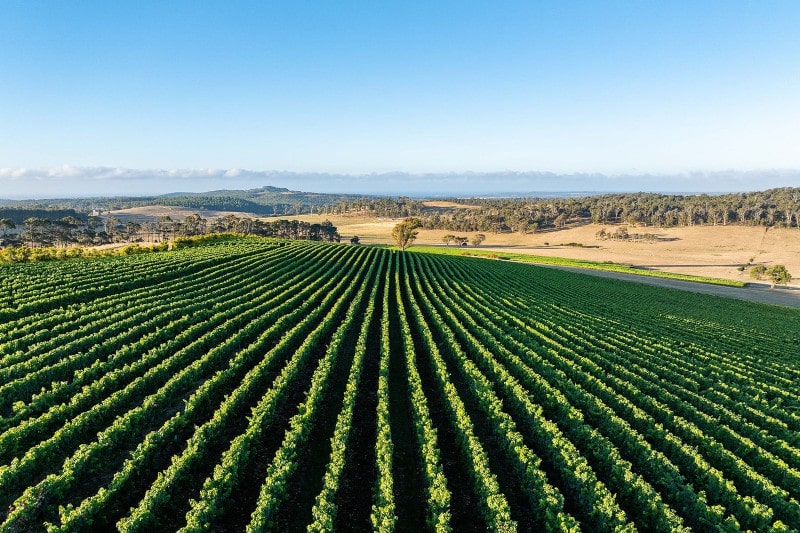 Tamar Valley