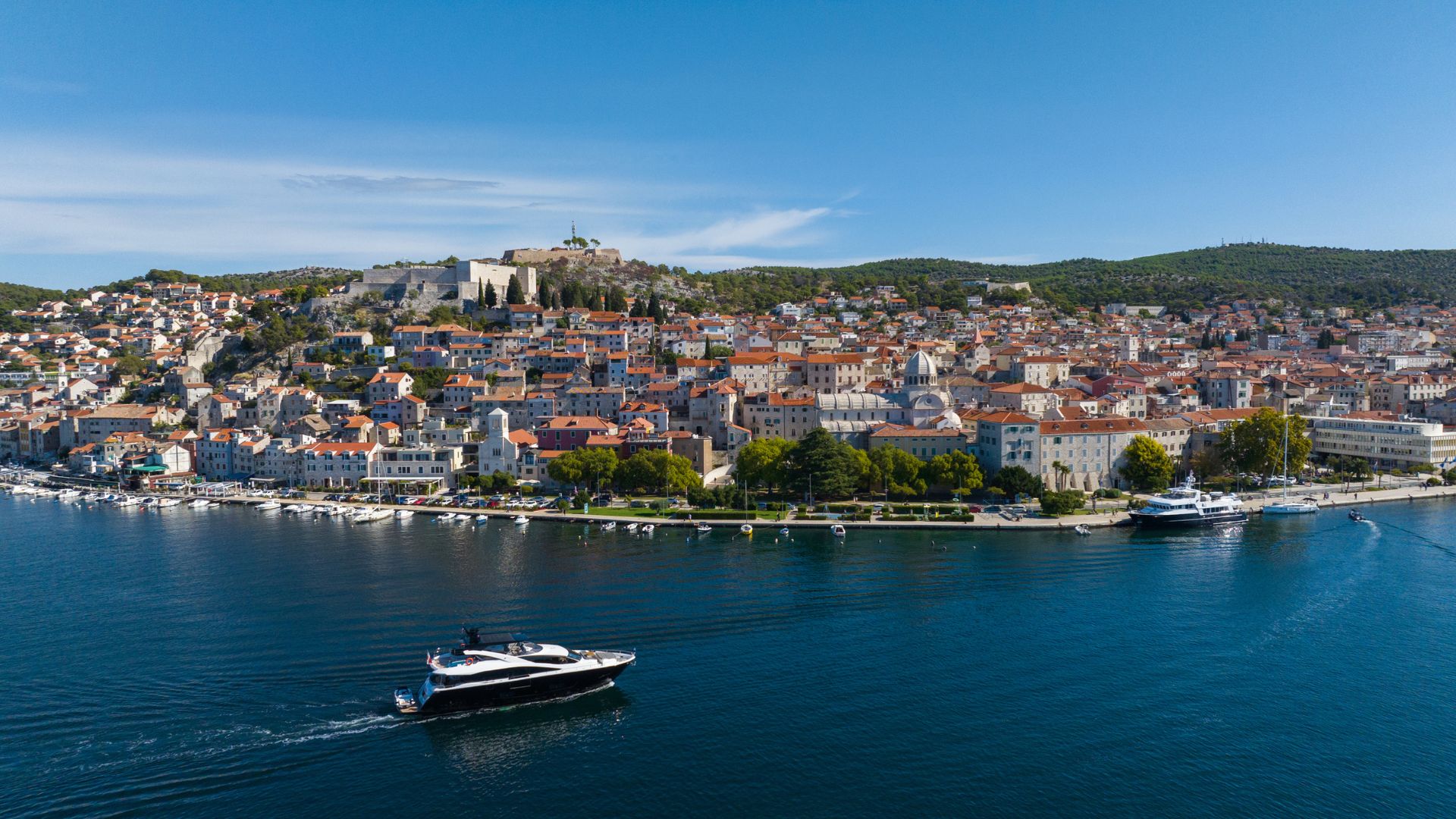 Black mamba in Croatia