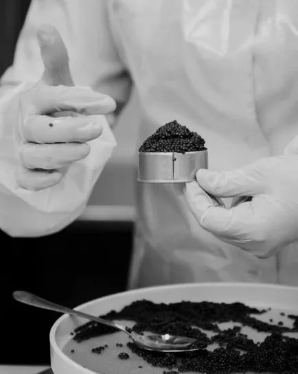Beluga Caviar