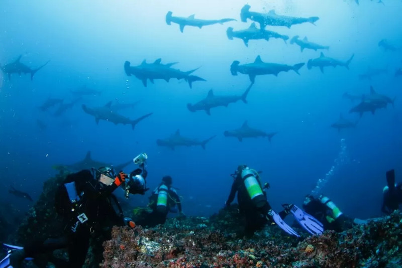 Cocos Island, Costa Rica