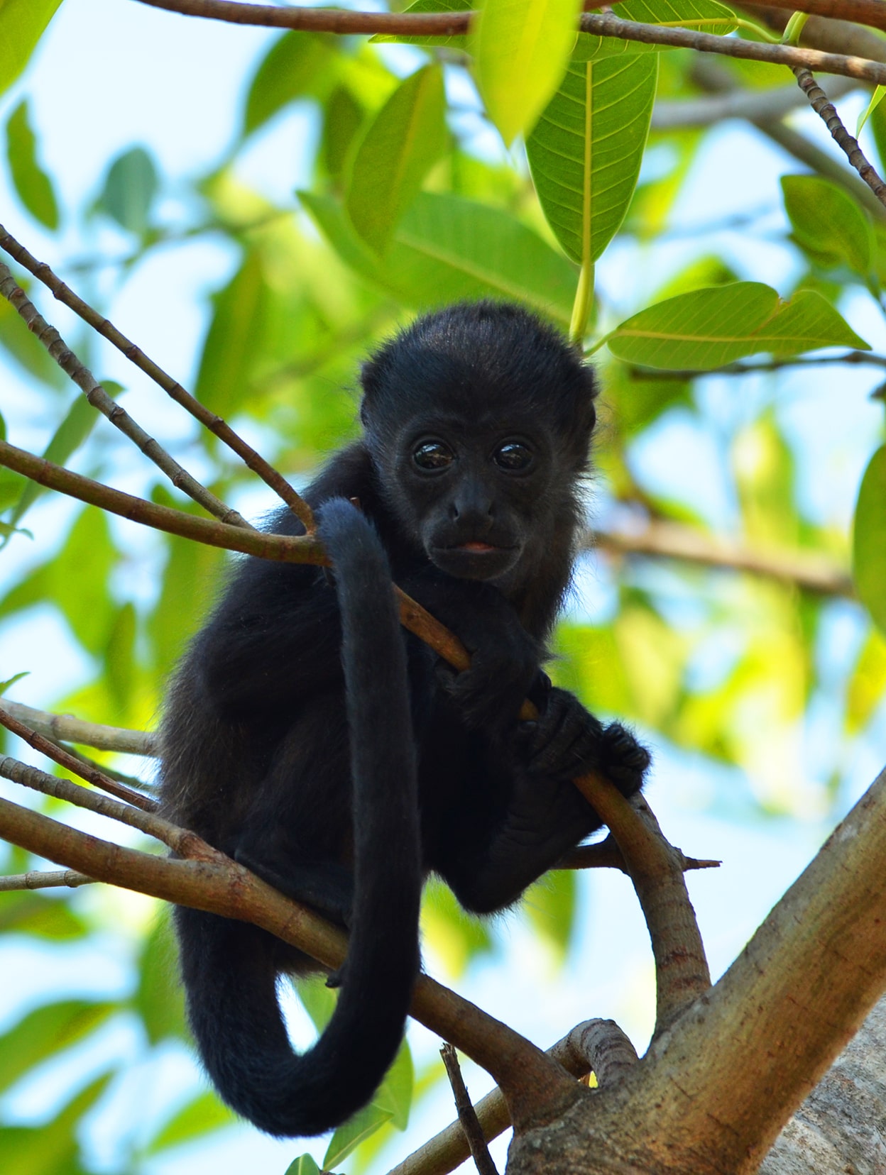 Day 10: Los Suenos