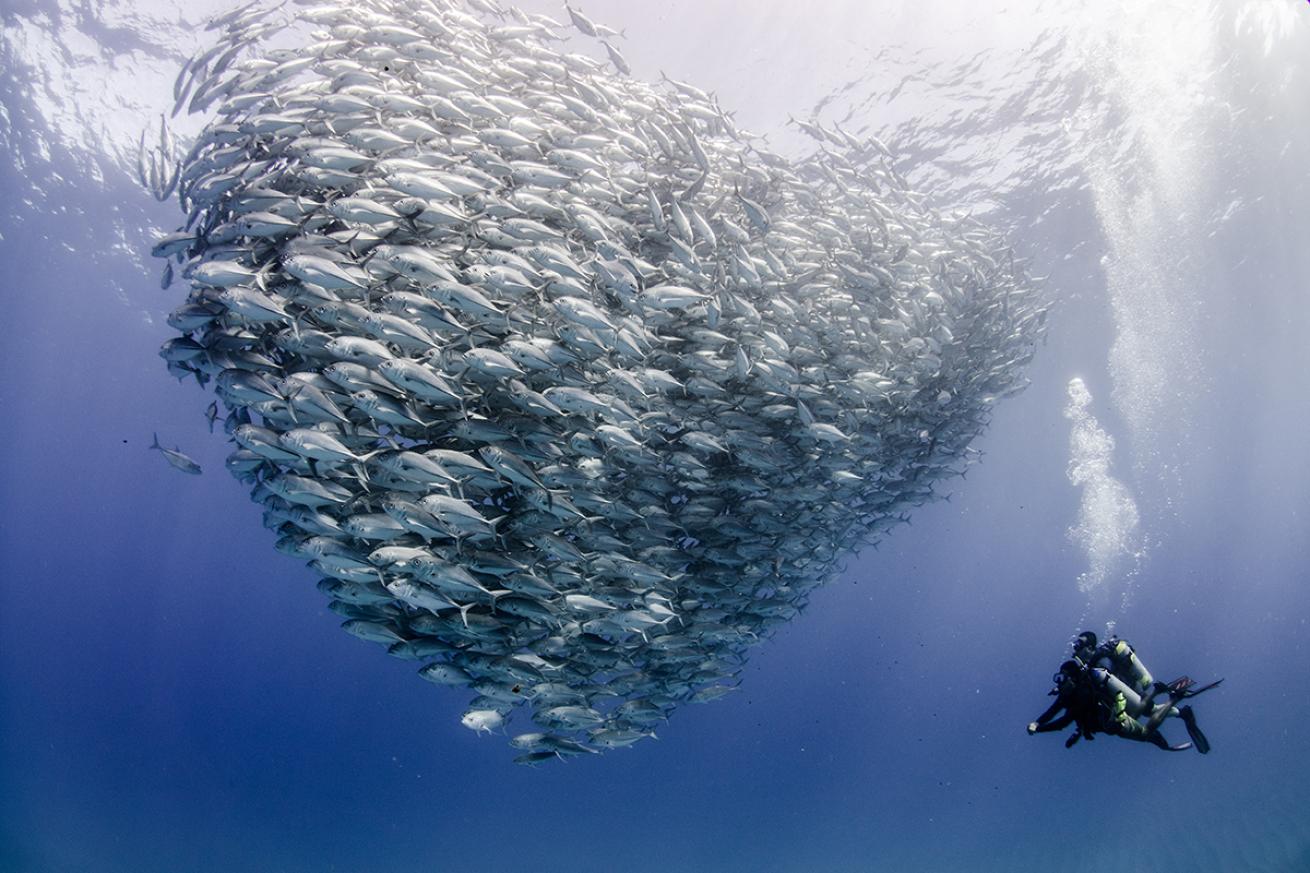 Baja California Sur, Mexico